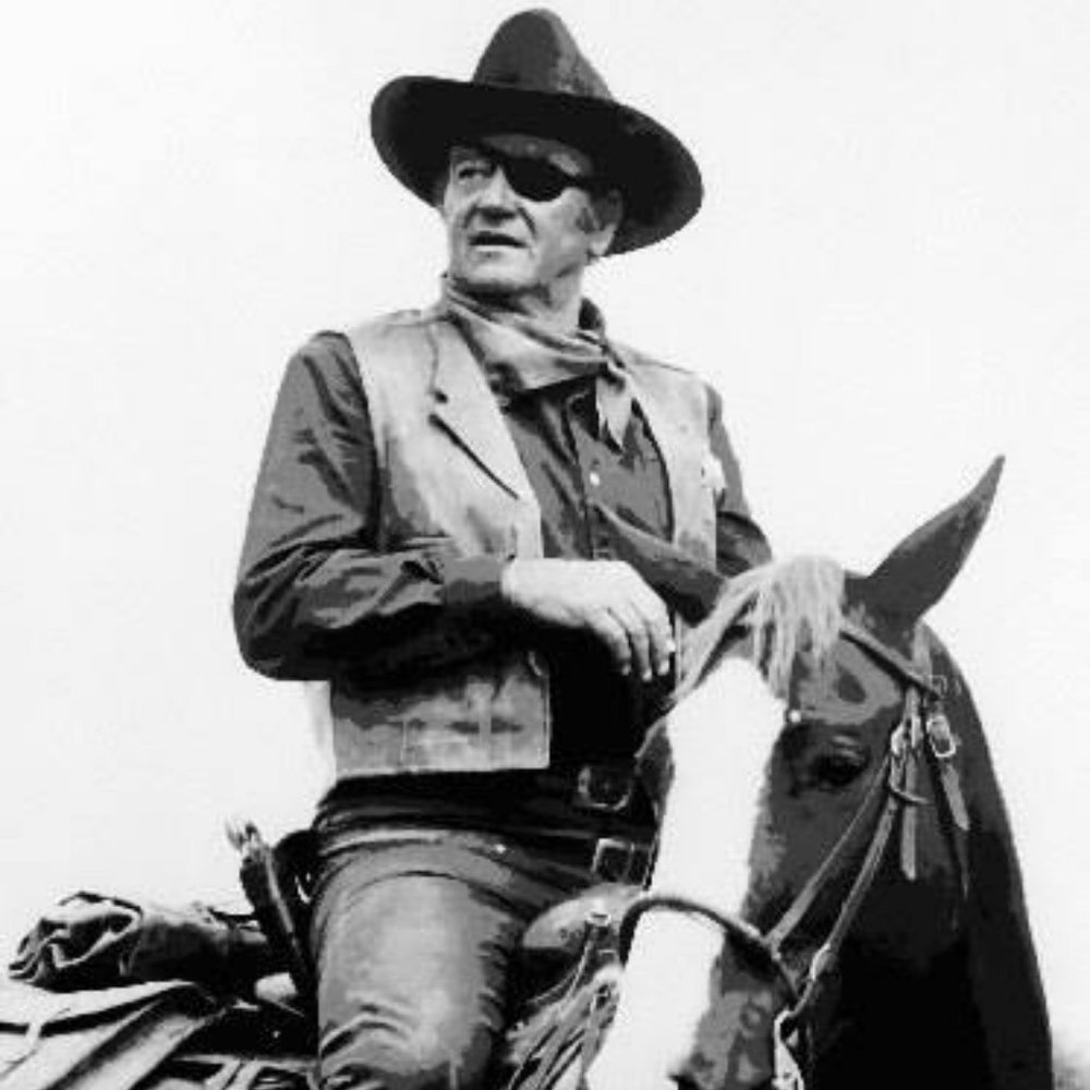 True Grit John Wayne High-End Paint By Numbers Kit